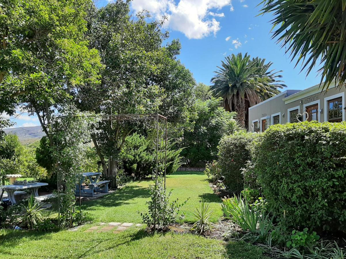 Karoo Life B&B Calitzdorp Exterior photo